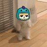 Toffel.5mbK's profile picture