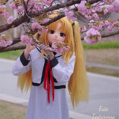 SILKO352's profile picture