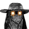 VULCAN 🌋's profile picture