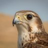 Фото профиля عبد السلام الشرقي