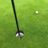 Фото профиля Golfie golfie