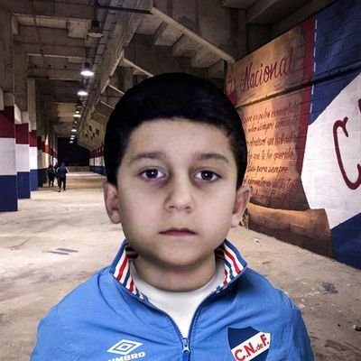 Totoa ๐๏ธ's profile picture