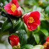 Фото профиля 真
