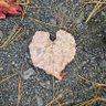 Profilbild von Warrior31