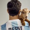 goat profil fotoğrafı