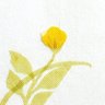 太桂《自然農》園 (たいけいしぜんのうえん) 的头像
