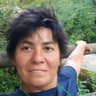 Impertinente!'s profile picture