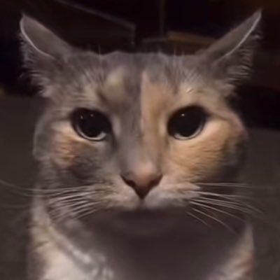 Odysseus's profile picture