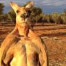 Vexed's profile picture