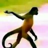 aashna ayomi's profile picture