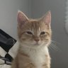 duduzin profil fotoğrafı