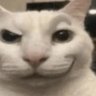 Rainbows's profile picture