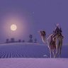 Profilbild von أبو عمر الكناني الحنبلي