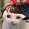 Raze's profile picture