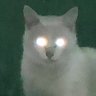 Profilbild von a