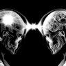 Фото профиля Telepathy011