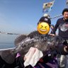 すな👾@(^ω^)/🐟's profile picture