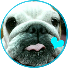 otsu_313's profile picture