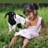 Profilbild von sribalajipriya