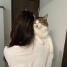 Фото профиля キジシロNoa🐾ハチワレAo🐾໊