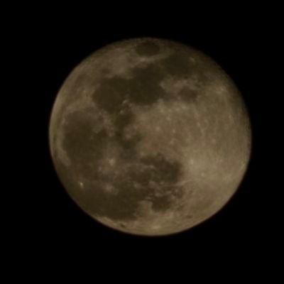 tcrena's profile picture