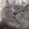 5aald's profile picture