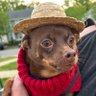 FLATUL8's profile picture