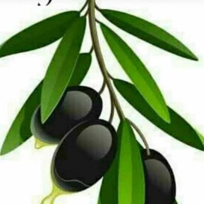 Gamze's profile picture