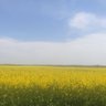 Profilbild von Злий побратим
