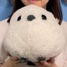 なおペコ's profile picture