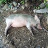 ruben m.'s profile picture