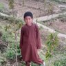 Haji Babrak's profile picture