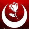 Profilbild von Büyük