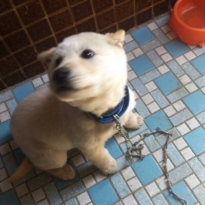kjwops's profile picture