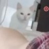 Profilbild von gaspi in the sky with gatos 😽