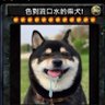 CallmeGoodBoy profil fotoğrafı