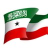 Nura Ahmed Waris 的头像