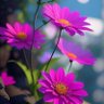 Heisralphberry profil fotoğrafı