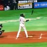 きのこ 的头像
