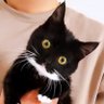 こはぜ profil fotoğrafı