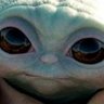 Grog's profile picture