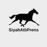 Siyah Atlı Prens 的头像