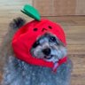 COOKIE SIUUU's profile picture
