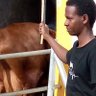 Itungo dairy farm profil fotoğrafı