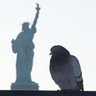 Фото профиля em 4 libs 🗽
