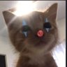 Фото профиля freshrengar