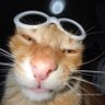Profilbild von Jose Luis