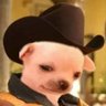 L's profile picture