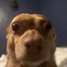 Roloborg's profile picture