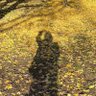 わいえむ profil fotoğrafı